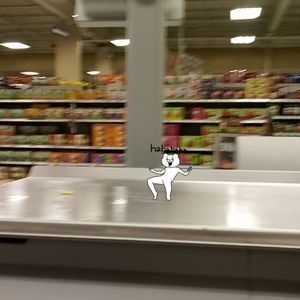 Meet your Posher, Prudence